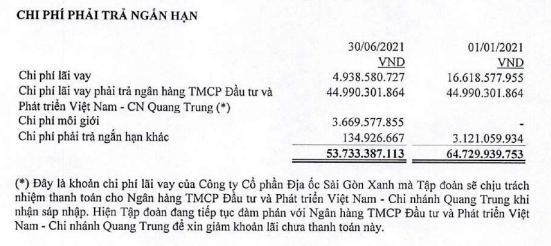 HAGL và QCG, doanh nghiệp của các đại gia phố núi đang nợ khủng cỡ nào? - Ảnh 2.