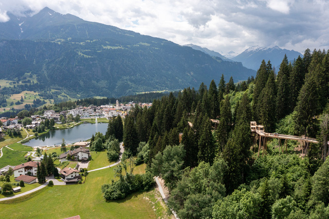 Con đường đi bộ qua cây dài nhất thế giới ở Thụy Sĩ - Ảnh 7.