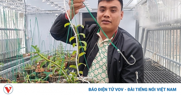 Tiết lộ bất ngờ về hồ sơ doanh nghiệp trong vụ "đại gia" lan đột biến buôn than lậu