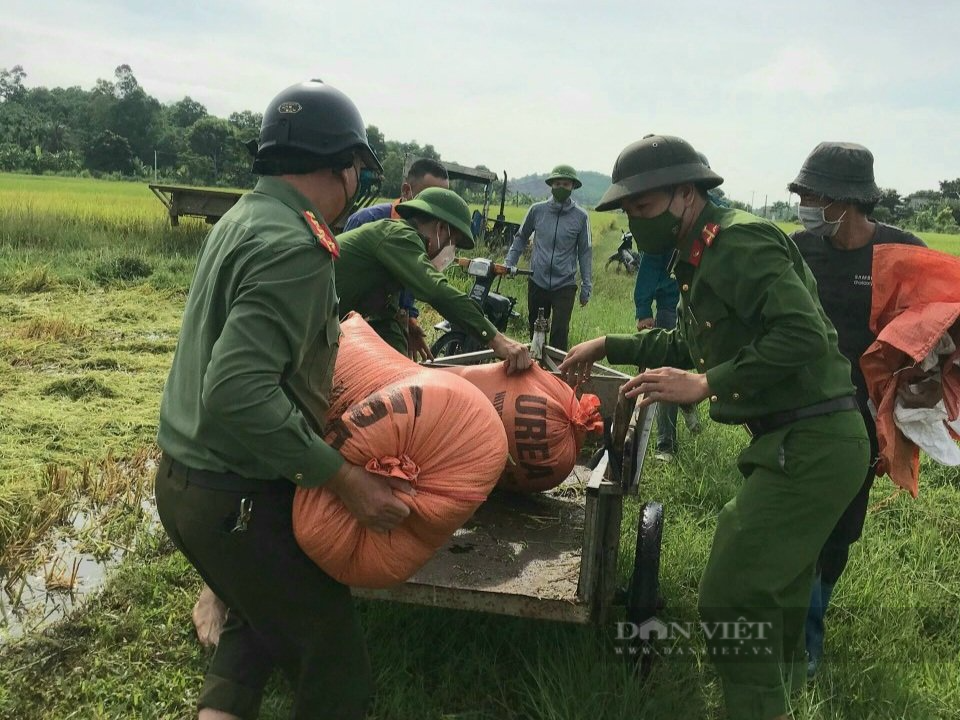 Thanh Hóa: 40 chiến sỹ Công an huyện Như Thanh gặt lúa giúp dân vùng giãn cách chạy bão Conson - Ảnh 7.