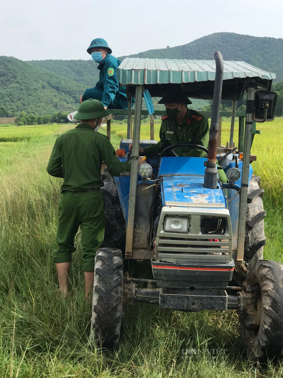 Thanh Hóa: 40 chiến sỹ Công an huyện Như Thanh gặt lúa giúp dân vùng giãn cách chạy bão Conson - Ảnh 8.