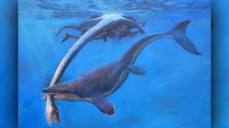 Hình ảnh Cá Thời Tiền Sử Liopleurodon 3d Render Biển PNG , ăn Thịt, Biển,  Tuyệt Chủng PNG trong suốt và Vector để tải xuống miễn phí