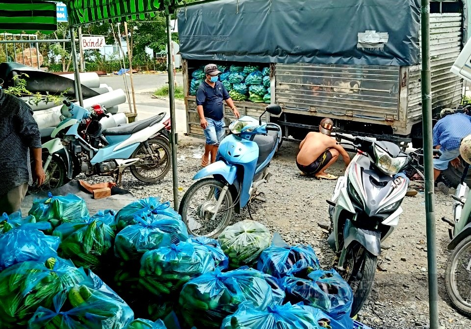 Long An: Điều gì đang xảy ra khiến rau, củ bỗng dưng tắt tịt đường vào thị trường TP.HCM? - Ảnh 1.