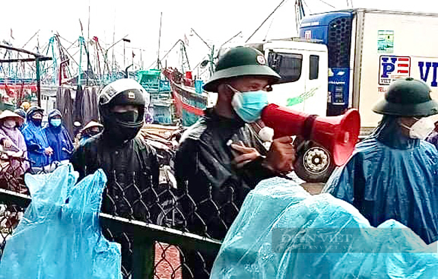 Quảng Ngãi: Đội mưa bão vận động, đưa hơn 222 ngư dân Sa Huỳnh đi cách ly  - Ảnh 1.