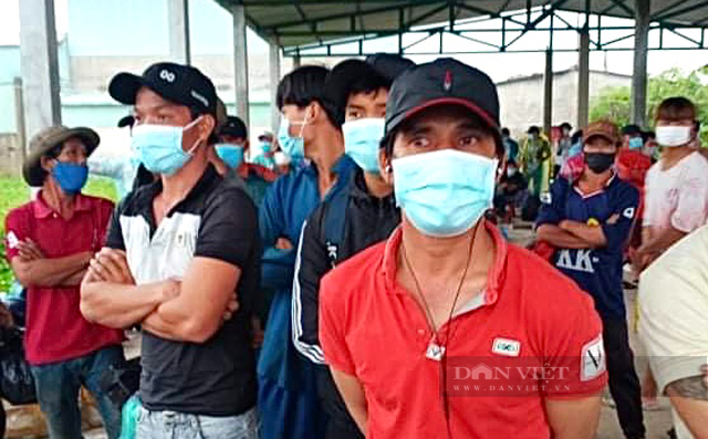 Quảng Ngãi: Đội mưa bão vận động, đưa hơn 222 ngư dân Sa Huỳnh đi cách ly  - Ảnh 3.