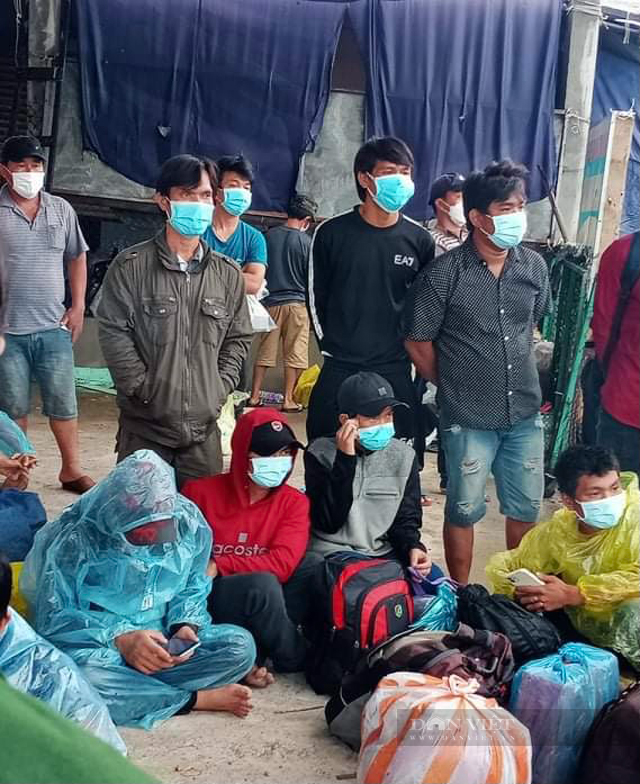 Quảng Ngãi: Đội mưa bão vận động, đưa hơn 222 ngư dân Sa Huỳnh đi cách ly  - Ảnh 6.
