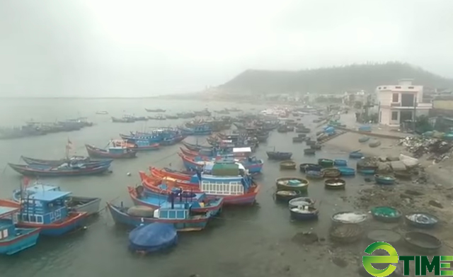 Quảng Ngãi: Không để tàu thuyền ngư dân vùng phong toả bị hư hại vì bão số 5  - Ảnh 7.