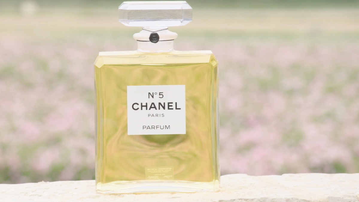 Kỳ công trồng thứ hoa làm nguyên liệu làm nên nước hoa lừng danh thế giới Chanel No.5 - Ảnh 12.