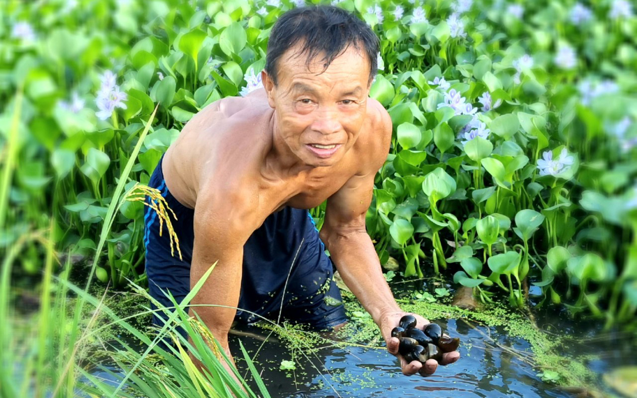 Ninh Bình: Ông nông dân với thân hình &quot;cơ bắp&quot; nuôi con siêu đẻ bán đắt tiền