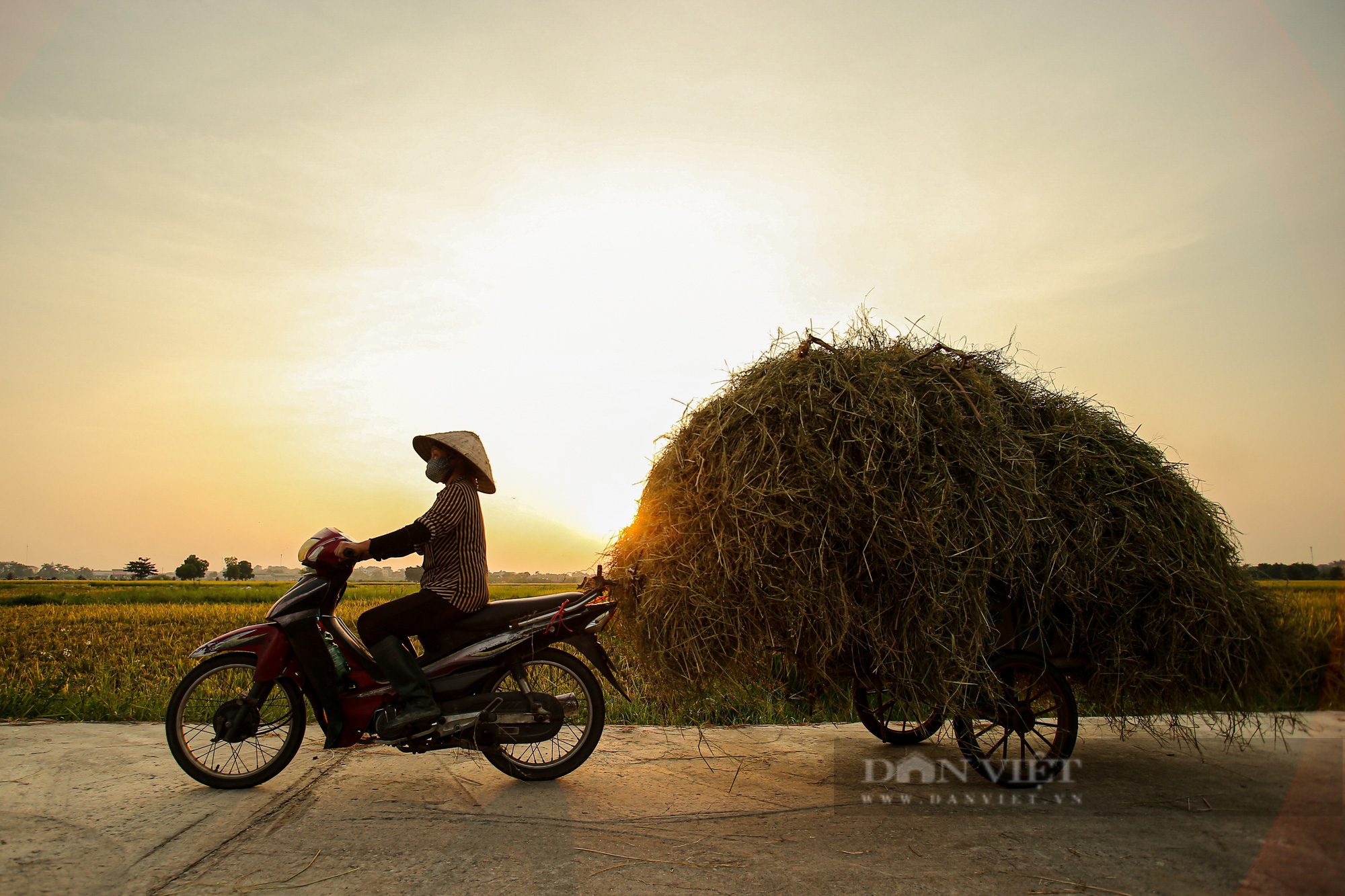 Thu hoạch lúa giữa dịch bệnh Covid-19: “Xanh nhà hơn già đồng” - Ảnh 6.