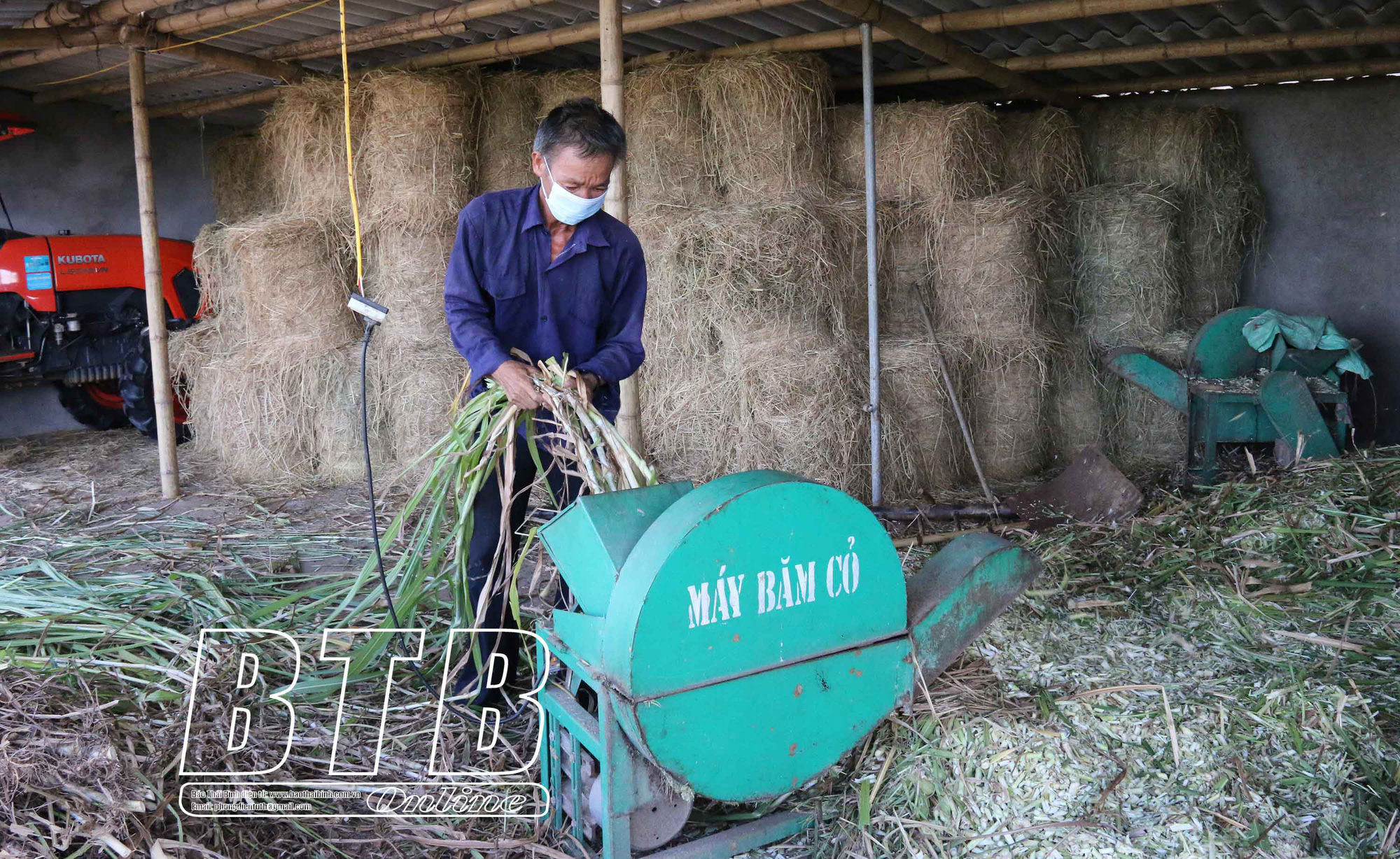 Một ông nông dân tỉnh Thái Bình &quot;liều&quot; khi bỏ ngành du lịch về quê chỉ để nuôi bò giống ngoại toàn con to bự - Ảnh 3.