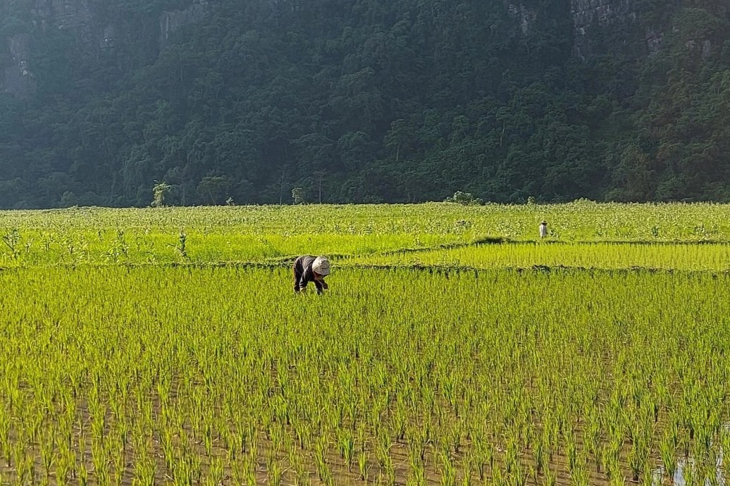 Thanh tra vào cuộc vụ cán bộ nhận tiền dân &quot;tự nguyện hỗ trợ&quot; - Ảnh 2.