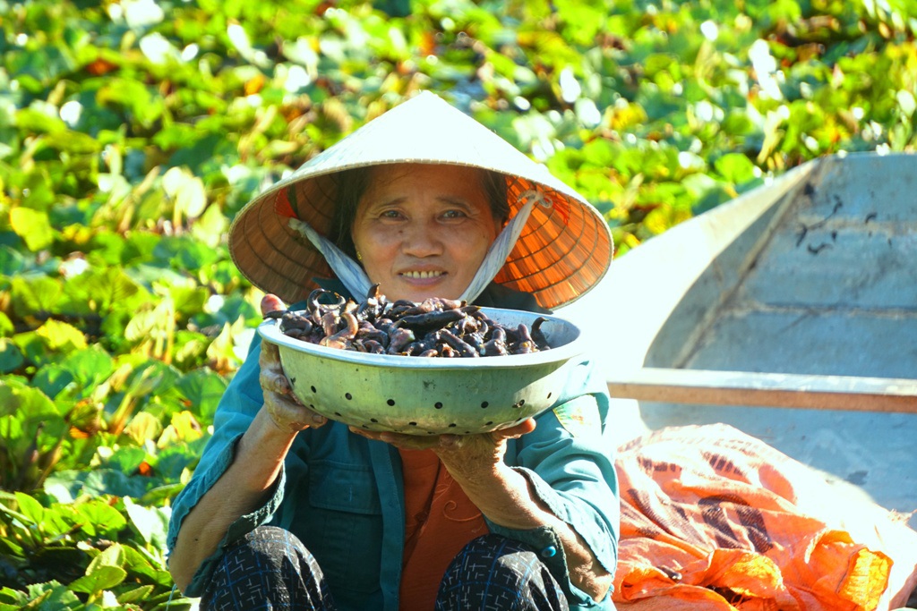 Thanh Hóa: Kiếm vài chục triệu đồng mỗi vụ nhờ thứ củ kỳ lạ, nhìn xa có hình thù giống... đầu trâu - Ảnh 4.