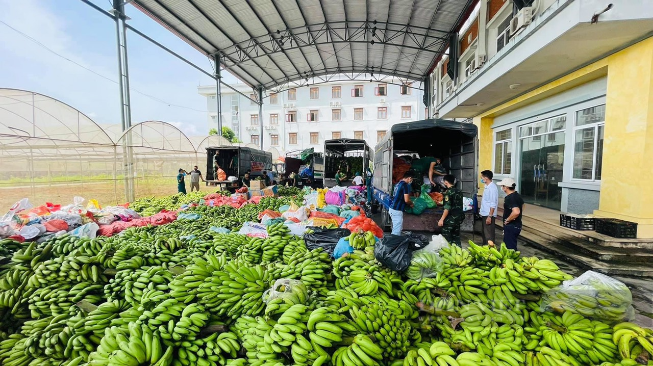 Nhân dân tỉnh Tuyên Quang gửi tặng 350 tấn nông sản đến người dân Hà Nội và các tỉnh miền Nam - Ảnh 5.