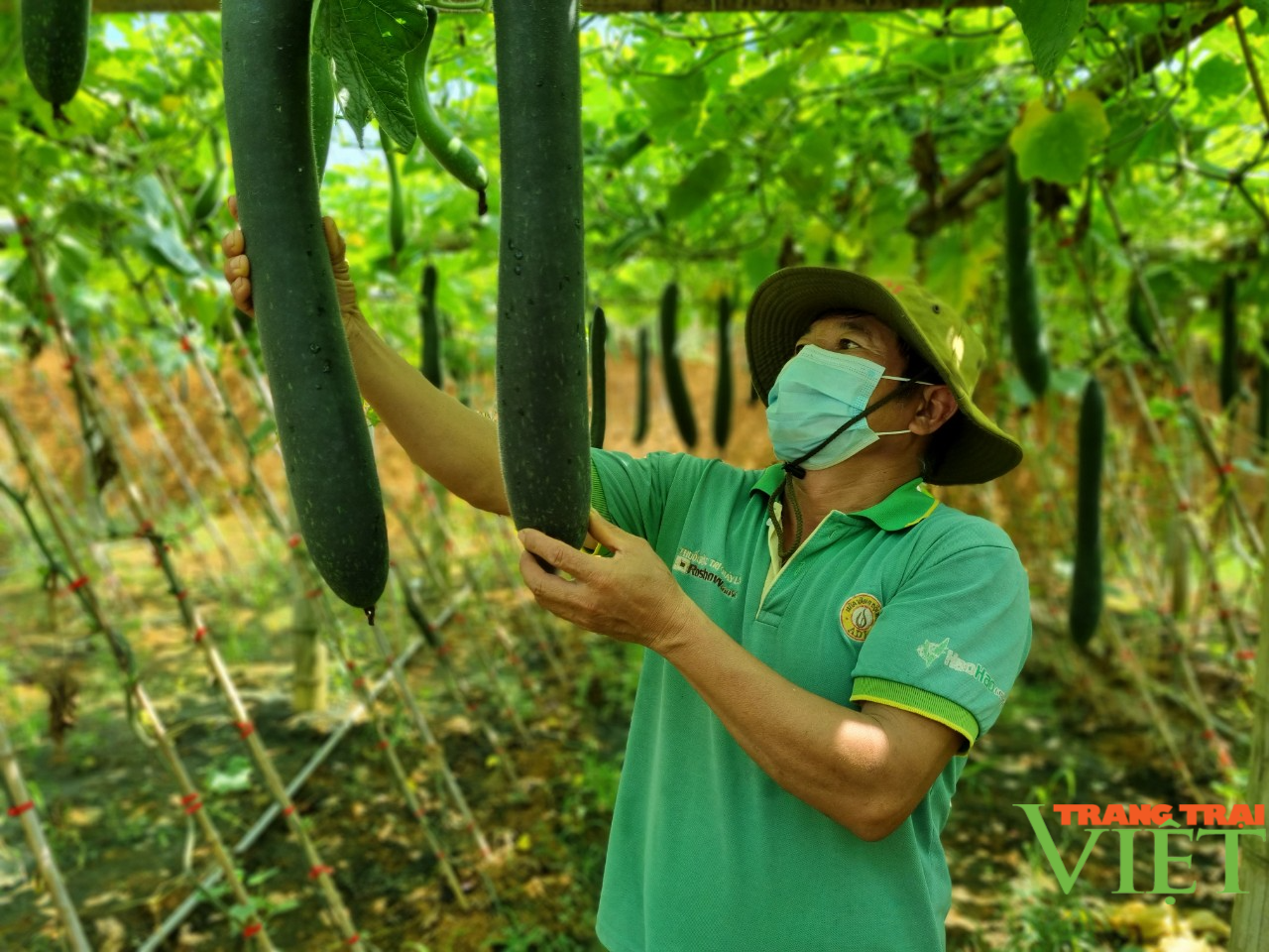Yên Sơn nâng cao thu nhập cho người dân - Ảnh 1. Yên Sơn nâng cao thu nhập cho người dân - Ảnh 1.