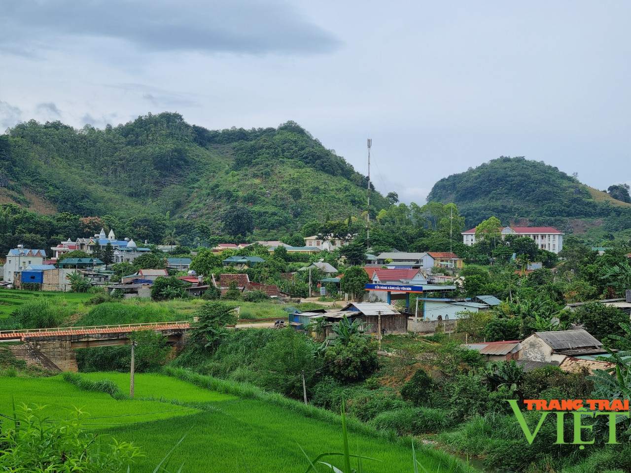 Yên Sơn nâng cao thu nhập cho người dân - Ảnh 2. Yên Sơn nâng cao thu nhập cho người dân - Ảnh 2.