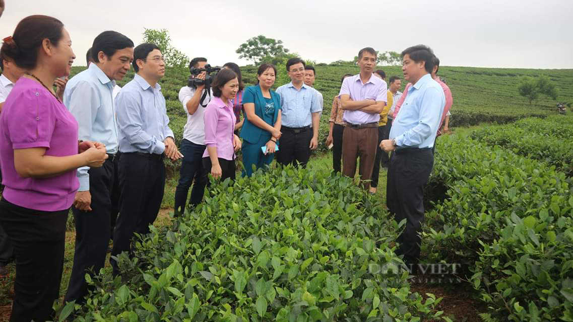 Vụ Phó chủ tịch UBND thị trấn Sông Cầu (Thái Nguyên) chống tiêu cực: 4 lãnh đạo và nguyên lãnh đạo bị kiểm điểm - Ảnh 5.