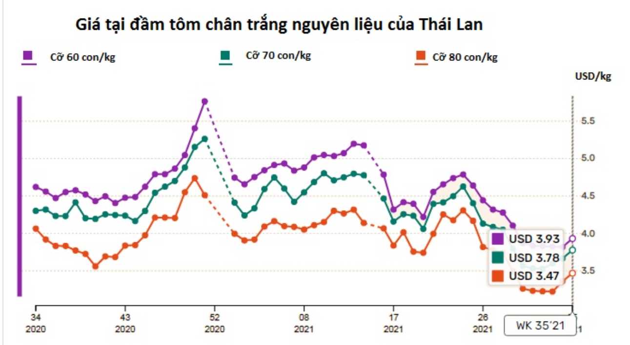 Đầu tháng 9/2021, giá tôm nguyên liệu tại Thái Lan và Ấn Độ tăng nhẹ - Ảnh 1.