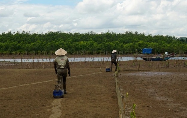 Khều là con đặc sản gì mà cứ chớm thu, người dân Hậu Lộc lại rủ nhau đi săn ở ven rừng ngập mặn? - Ảnh 6.