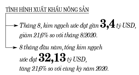 Tạo động lực cho nông dân tái sản xuất - Ảnh 3.