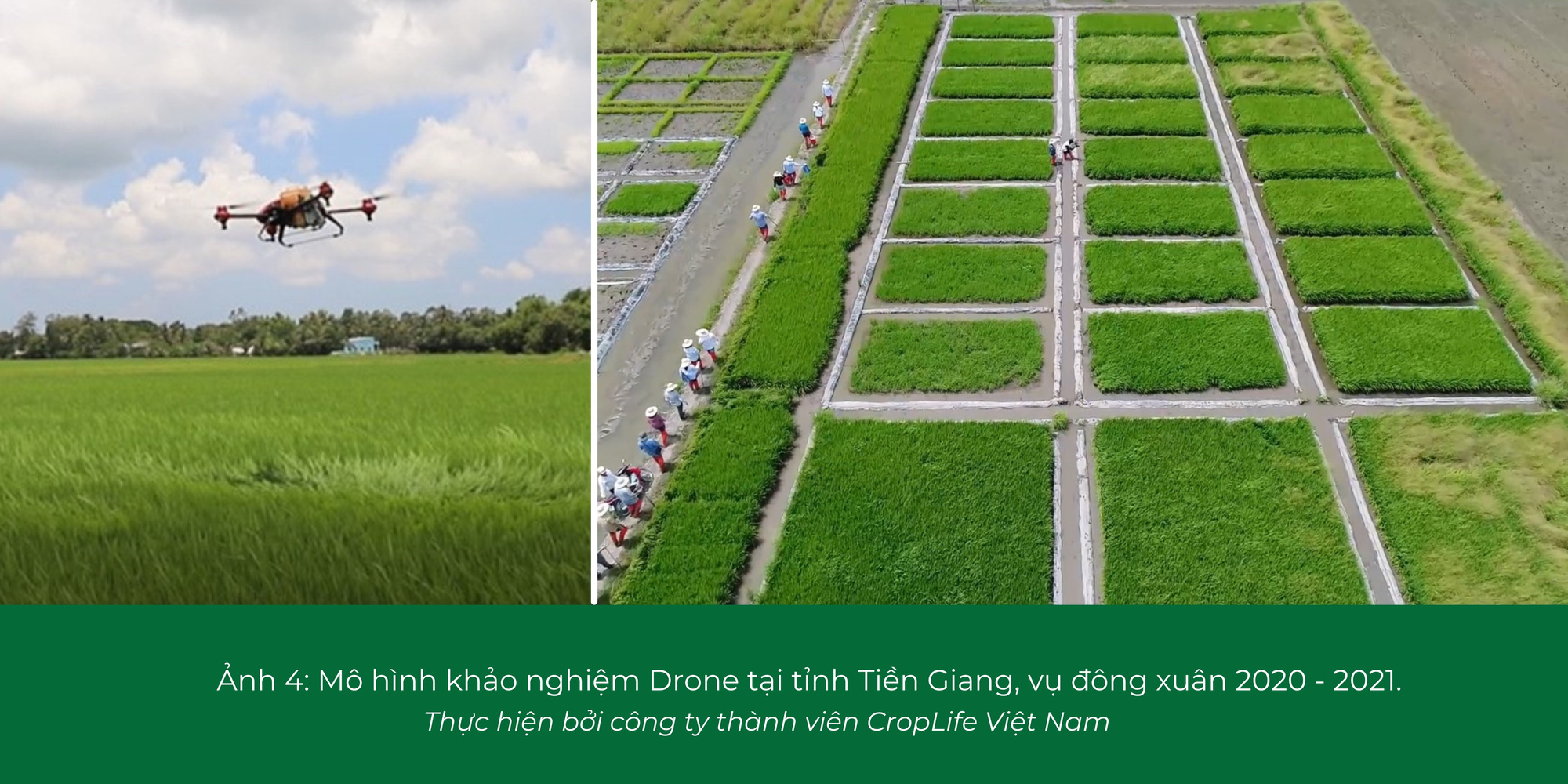 Hệ sinh thái cho chuyển đổi số nông nghiệp Việt Nam: Đặt lợi ích của nông dân làm trọng tâm - Ảnh 4.