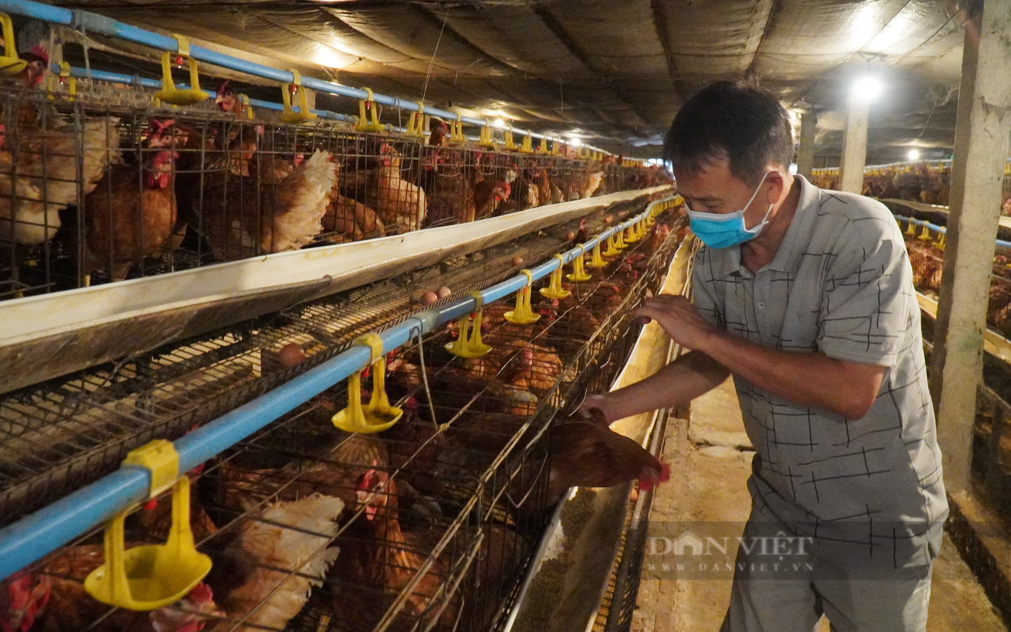 Bắc Ninh: Chỉ 195 trang trại, tạo ra giá trị 1.100 tỷ đồng