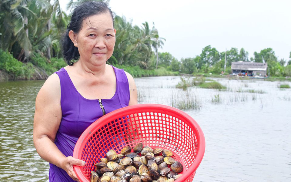 Cà Mau: Con vọp là con gì mà dân thả nuôi trong vuông cùng với tôm sú, cua biển, bắt bán 60.000 đồng/kg?