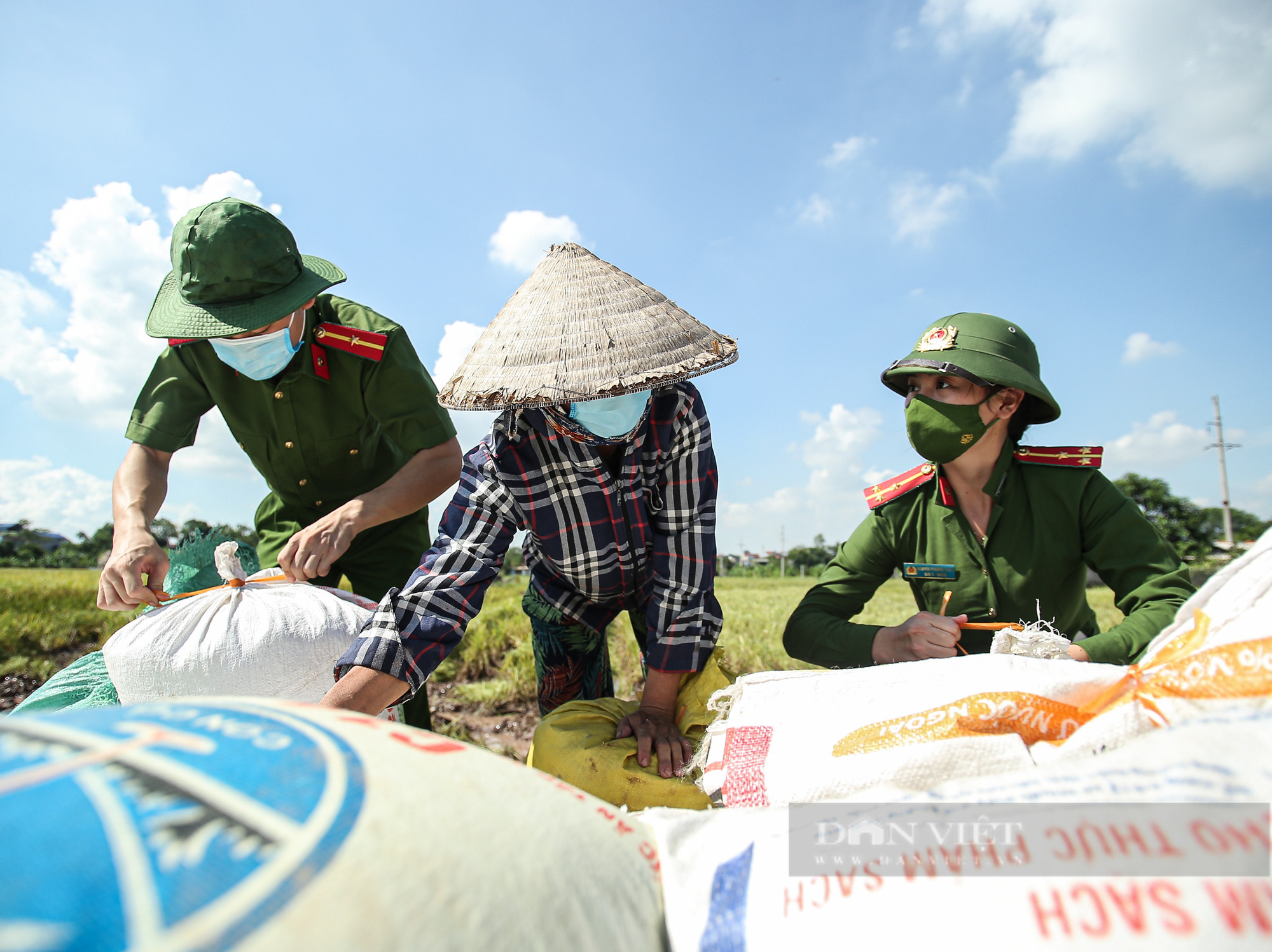 Hình ảnh chiến sĩ công an lội ruộng, ăn cơm vội để thu hoạch lúa giúp 141 hộ ở vùng cách ly y tế - Ảnh 2.