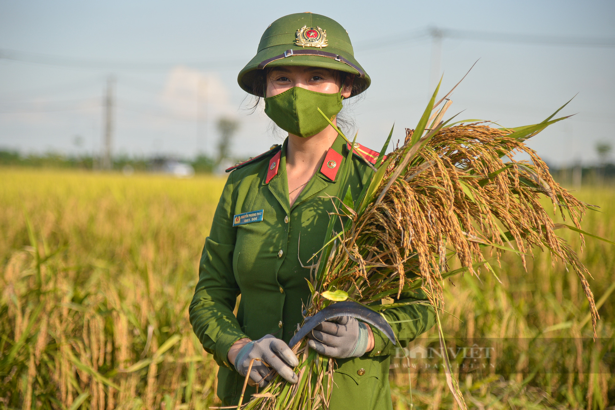 Hình ảnh chiến sĩ công an lội ruộng, ăn cơm vội để thu hoạch lúa giúp 141 hộ ở vùng cách ly y tế - Ảnh 3.