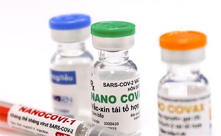 Hội đồng Đạo đức: Vaccine Nano Covax vẫn chưa có dữ liệu để đánh giá trực tiếp hiệu lực bảo vệ  - Ảnh 1.