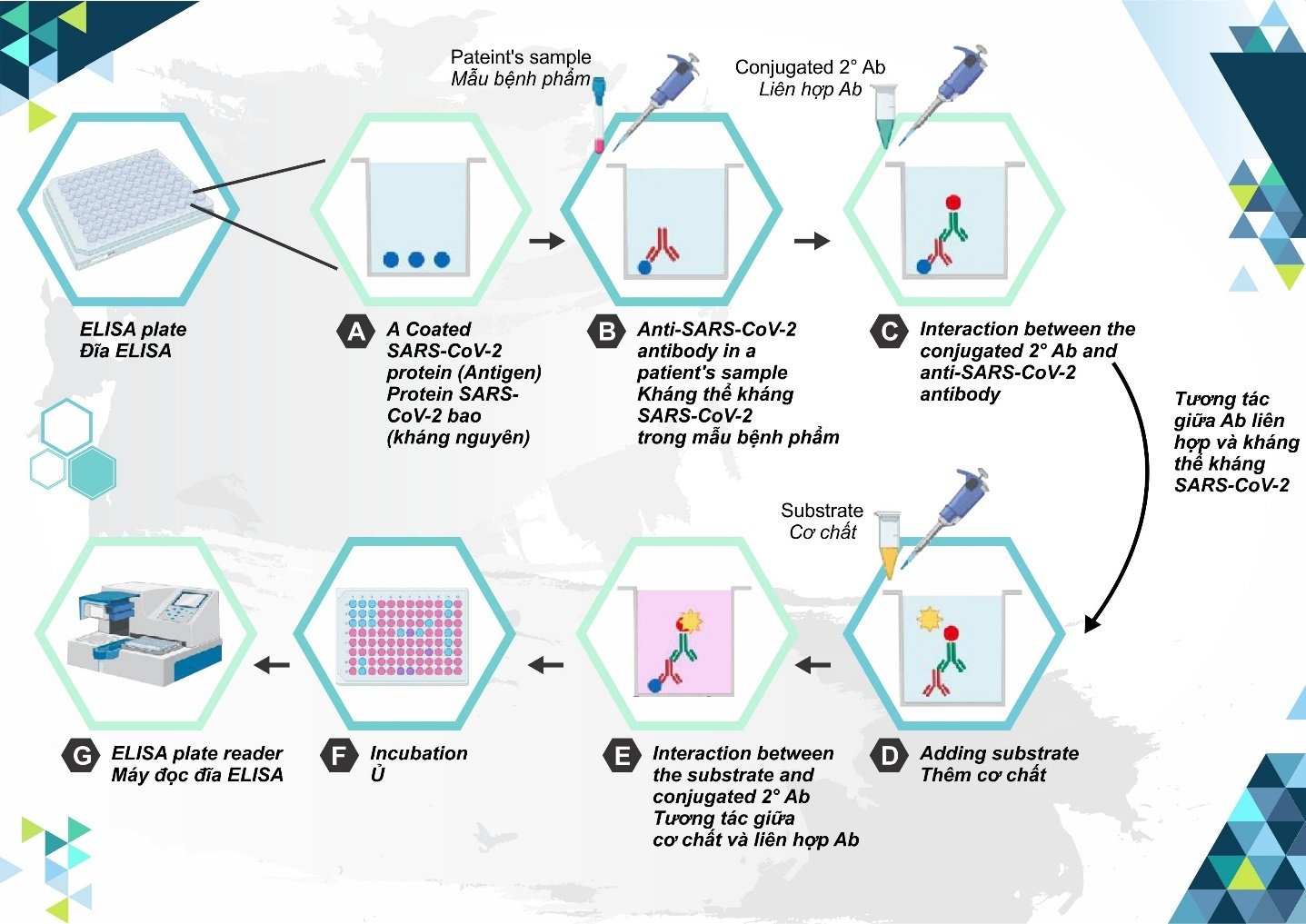 Bộ Y tế phê duyệt nhập khẩu 30 triệu liều vaccine Covid-19 Hayat-Vax sản xuất tại UAE - Ảnh 3.