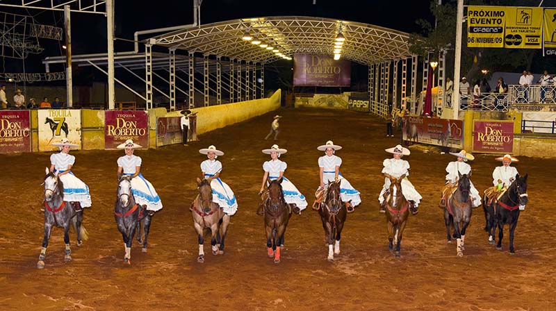 “Ba lê trên lưng ngựa” tạo nét cuốn hút ấn tượng cho các tour du lịch Mexico - Ảnh 1.