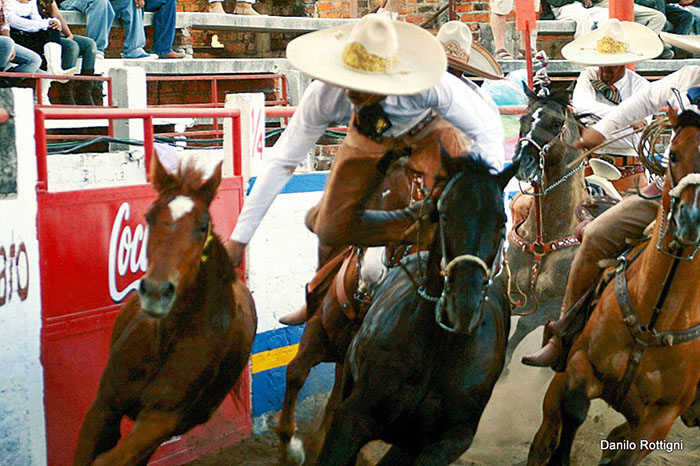 “Ba lê trên lưng ngựa” tạo nét cuốn hút ấn tượng cho các tour du lịch Mexico - Ảnh 2.