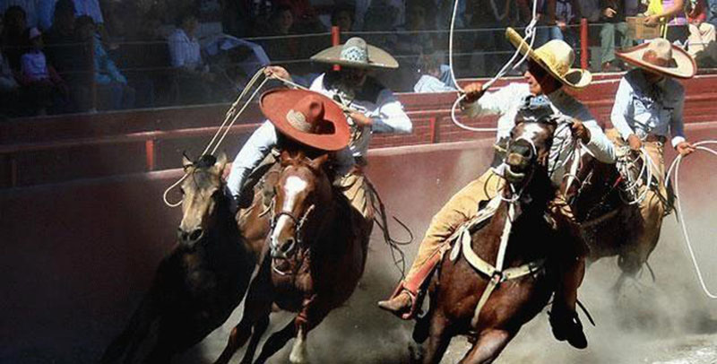 “Ba lê trên lưng ngựa” tạo nét cuốn hút ấn tượng cho các tour du lịch Mexico - Ảnh 3.