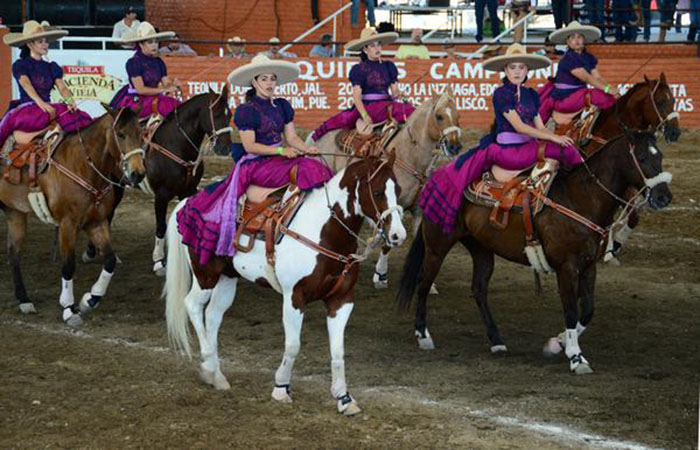“Ba lê trên lưng ngựa” tạo nét cuốn hút ấn tượng cho các tour du lịch Mexico - Ảnh 5.