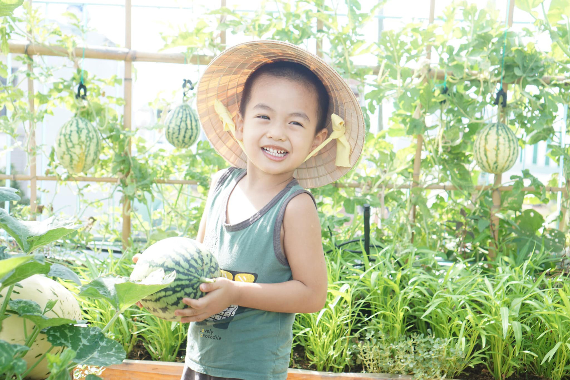  Giữa mùa dịch Covid-19, nữ kiến trúc sư trồng rau xanh mướt &quot;trên nóc nhà&quot; ở Đà Nẵng - Ảnh 3.