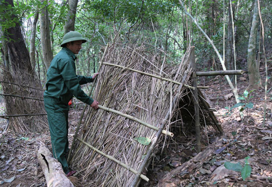 Quảng Trị: Ở nơi này rừng âm u, trồng thứ sâm quý hiếm gì mà cứ phải chăm như con mọn? - Ảnh 3.