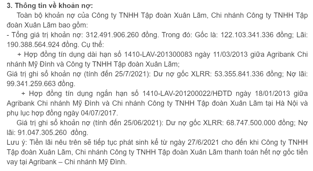 Đại gia cũng lao đao vì nợ - Ảnh 1.