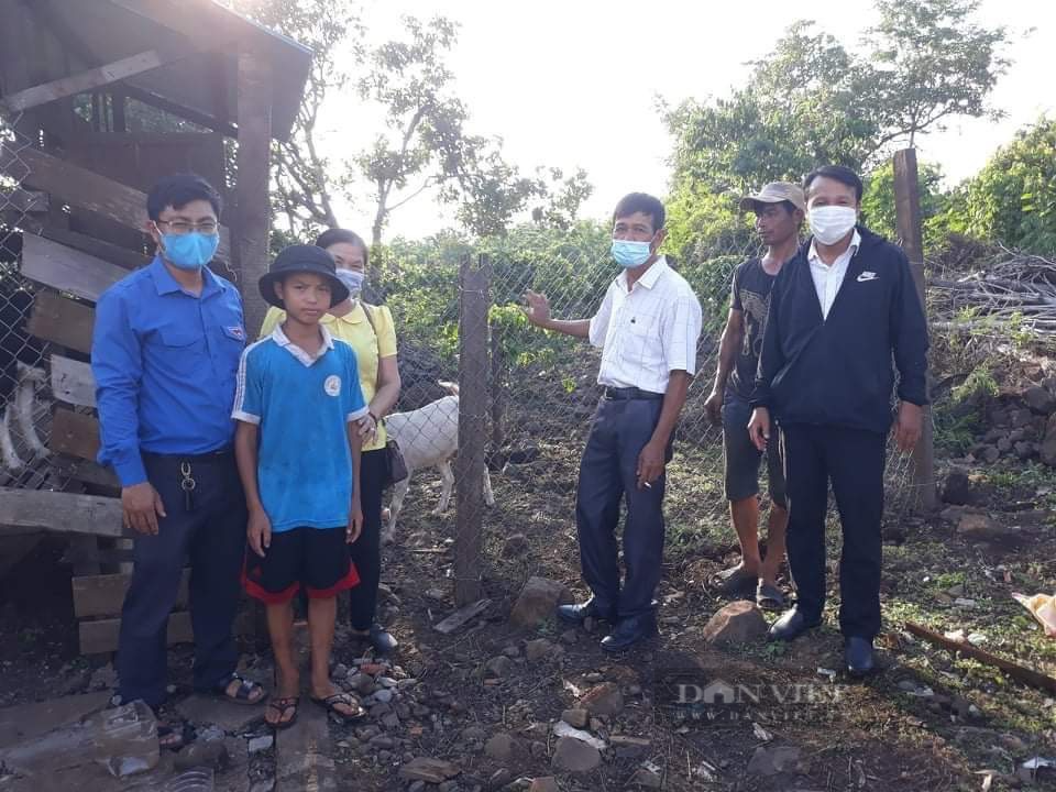 Đắk Lắk: Học sinh nghèo vùng sâu cải thiện đời sống nhờ được tặng dê giống - Ảnh 4.