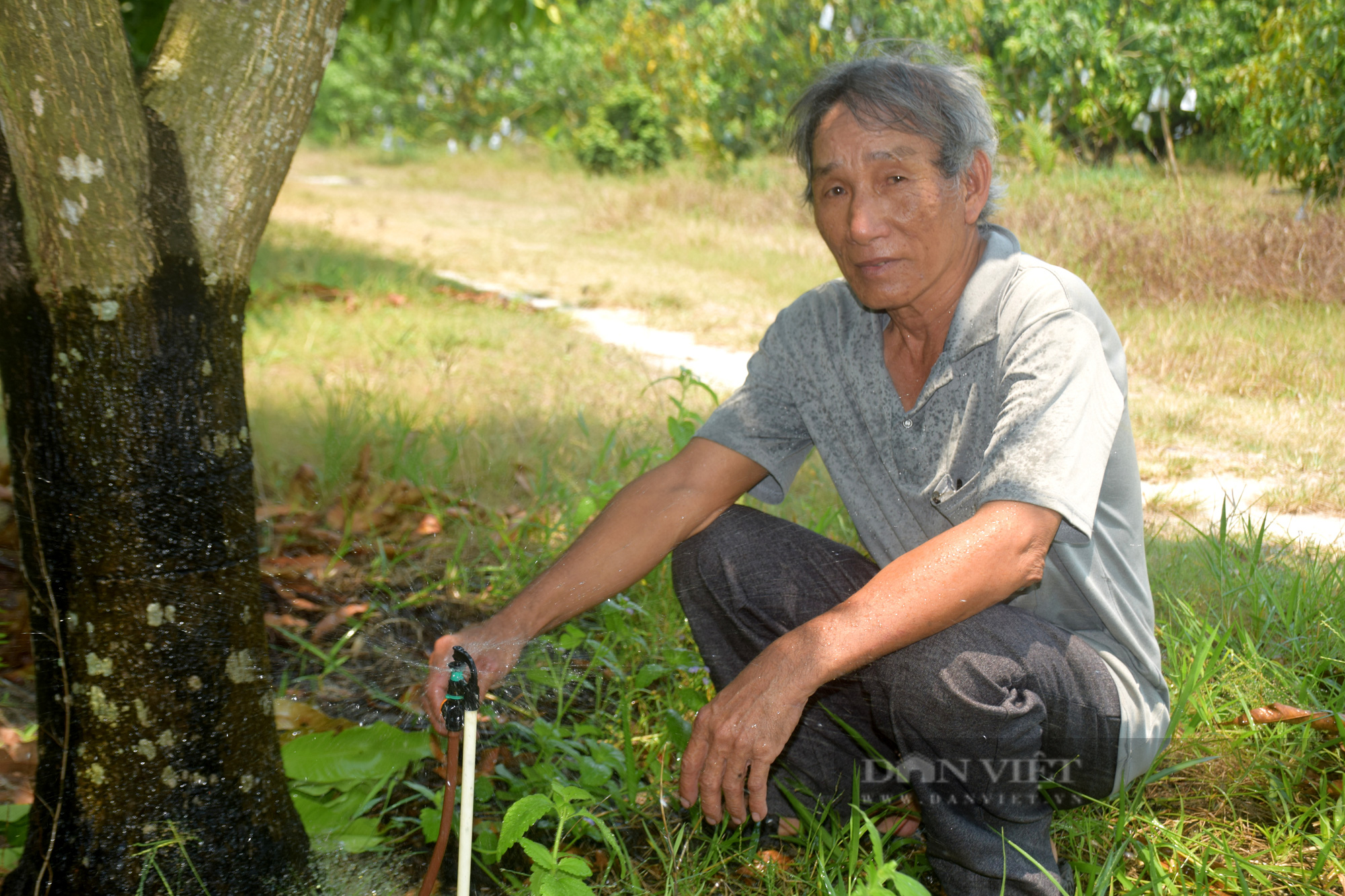 Nhờ cách này, ‘thủ phủ’ trồng xoát cát ở Bình Định không lo thiếu nước - Ảnh 3.