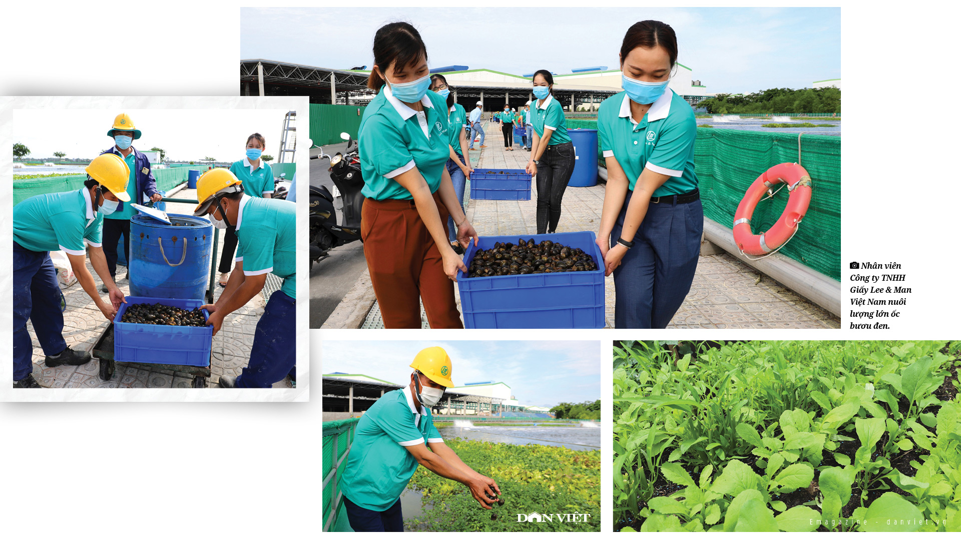Công ty Giấy Lee & Man Việt Nam:  Mô hình “nông trại xanh” làm xanh hóa không gian công nghiệp   - Ảnh 3.