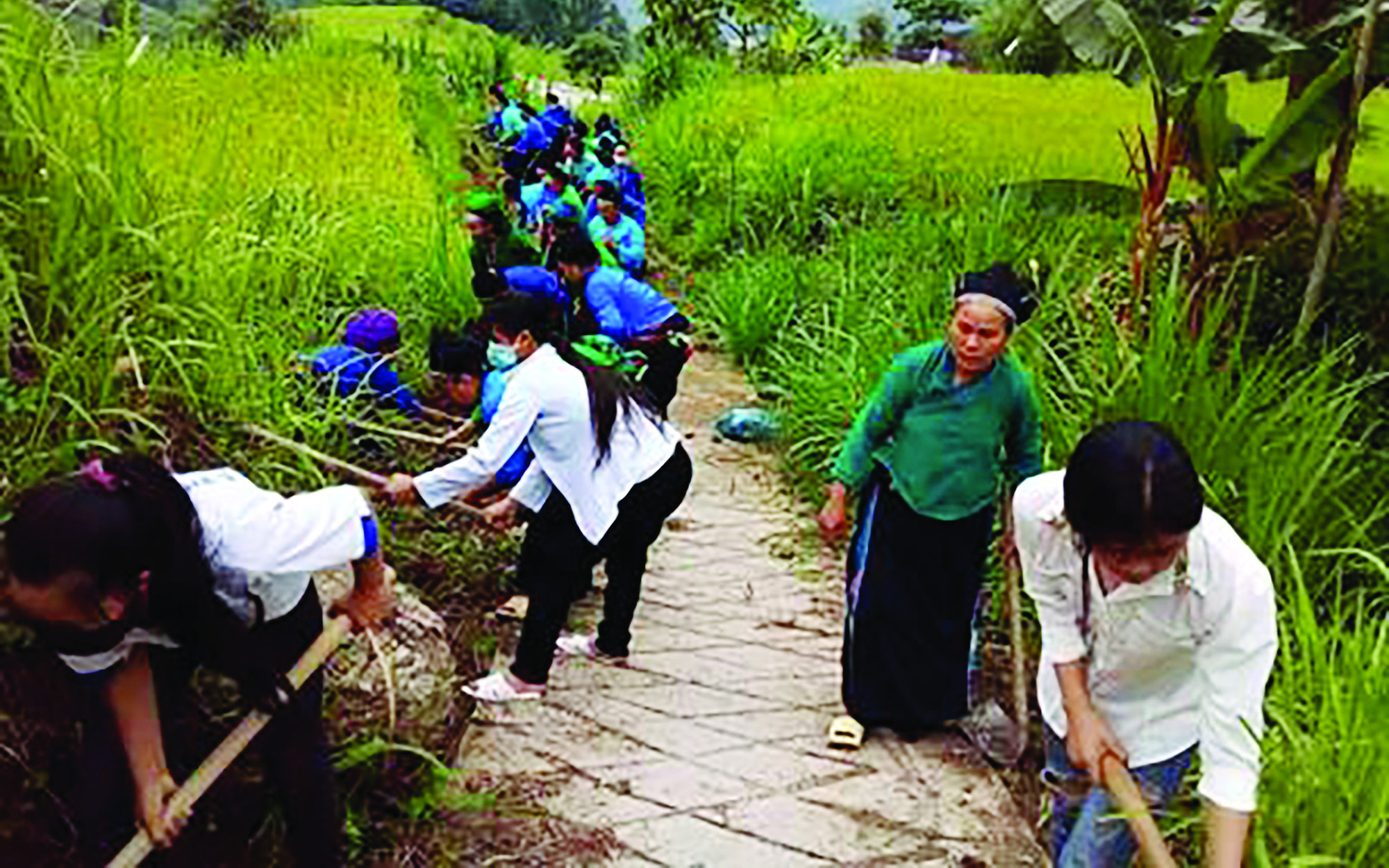 Phụ nữ Hà Giang với phong trào “môi trường xanh”