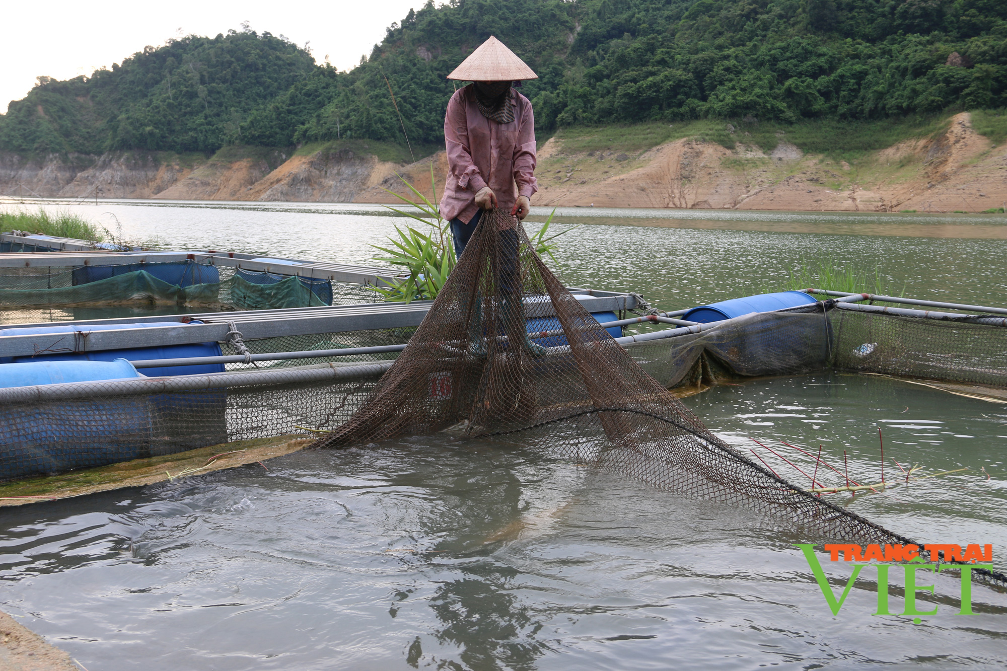 Hoà Bình: Cần các giải pháp nào để khôi phục sản xuất, sau vụ cá chết hàng loạt tại huyện Đà Bắc - Ảnh 3.