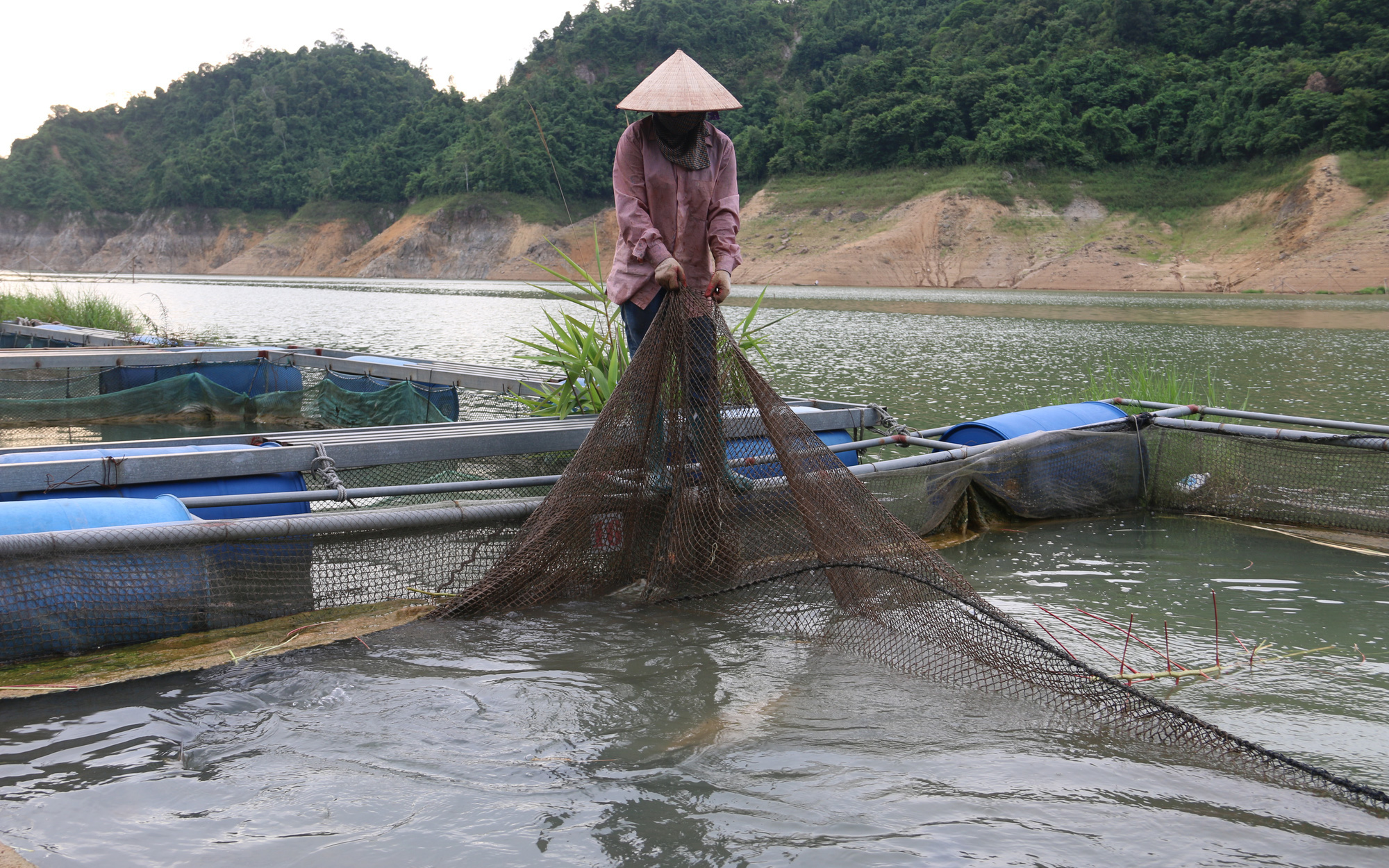 Hoà Bình: Giải pháp tốt sau vụ cá chết hàng loạt tại huyện Đà Bắc