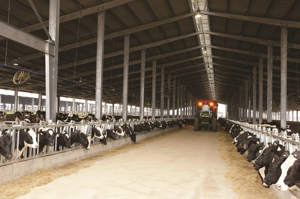 Cụm trang trại bò sữa đạt kỷ lục thế giới tại Việt Nam dưới góc nhìn của chuyên gia quốc tế - Ảnh 1.
