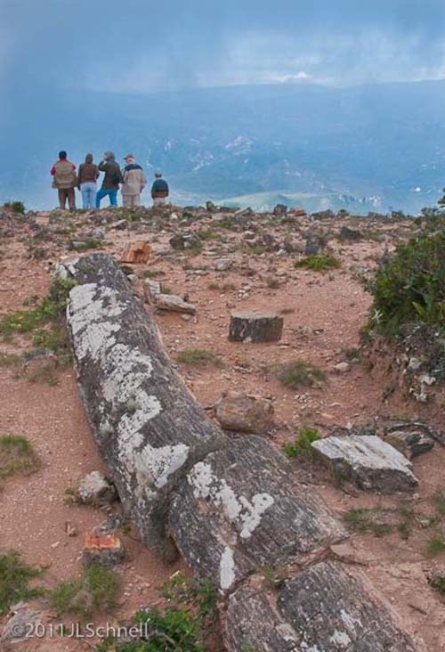 Du lịch Peru: “Đường trên mây” Santa Cruz Trek và rừng hóa thạch Piedra Chamana bí ẩn hút khách  - Ảnh 8.