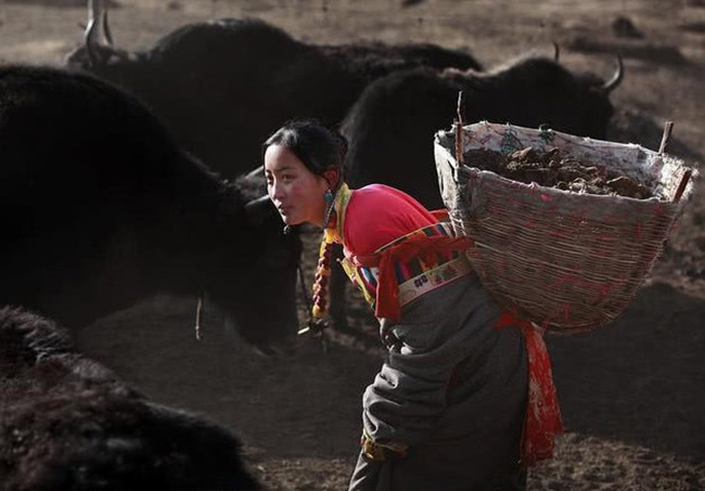 Bí mật giấu kín ở Tây Tạng: Người dân có loại gene đặc biệt - Ảnh 13.