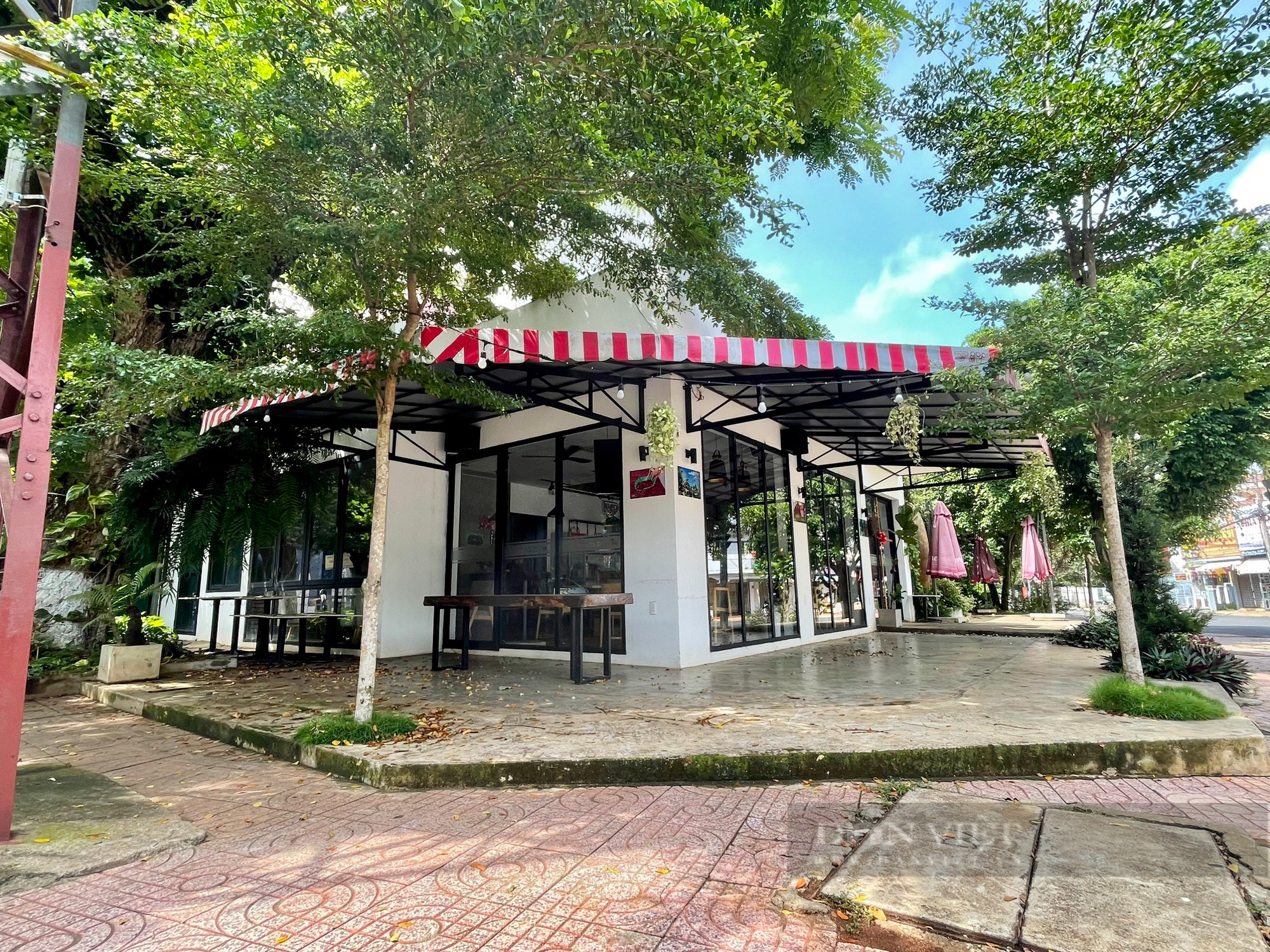 Đắk Lắk: TP.Buôn Ma Thuột cho phép cửa hàng kinh doanh ăn, uống phục vụ khách tại chỗ - Ảnh 1.