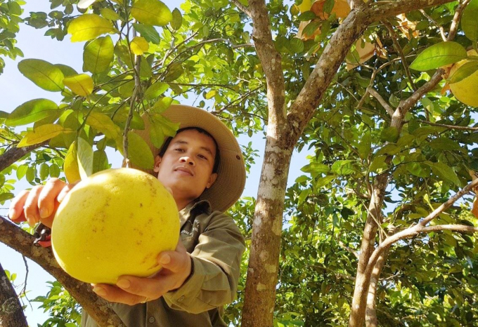 Long An &quot;trải thảm đỏ&quot; để nông dân đưa nông sản lên sàn - Ảnh 3.