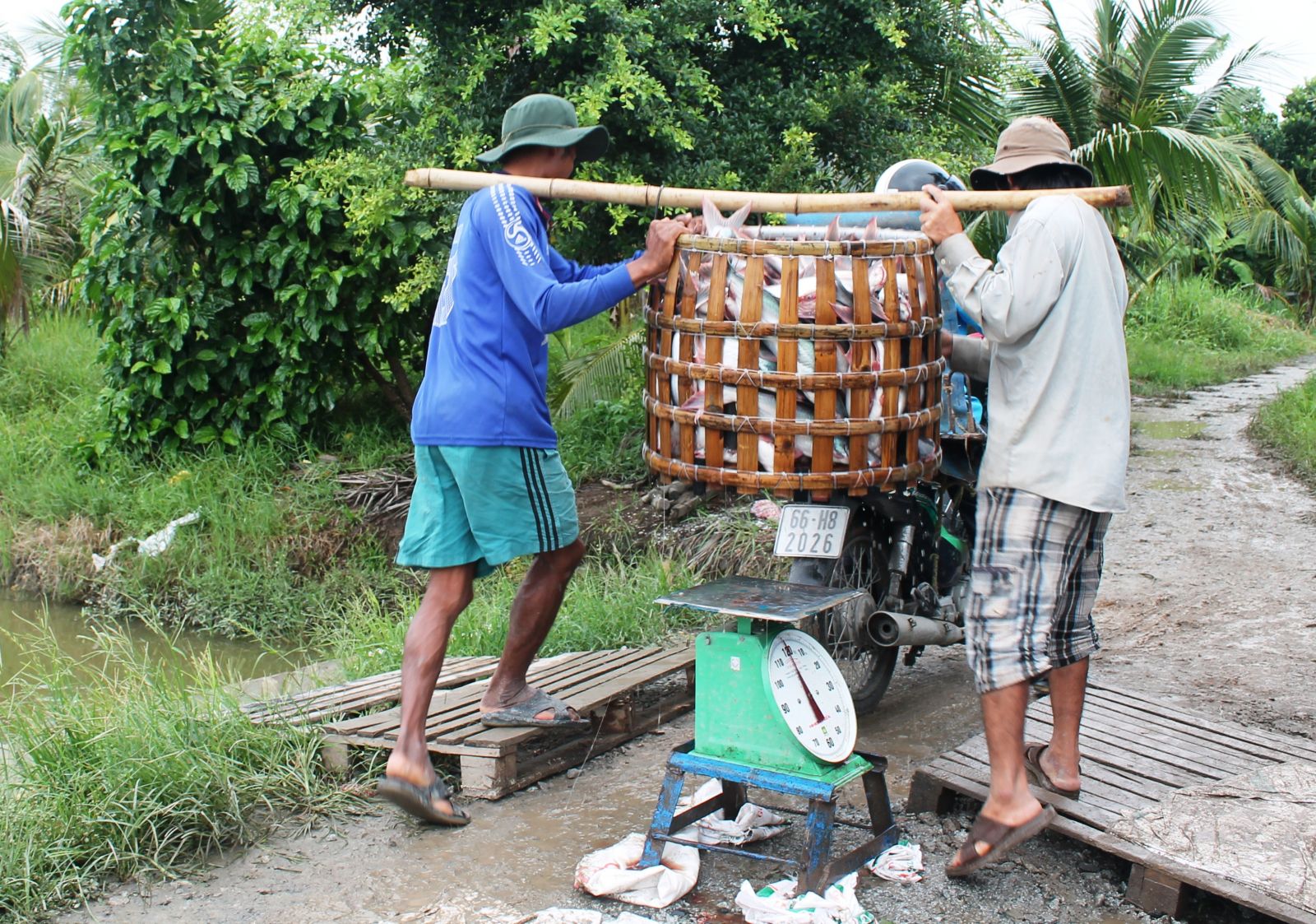 Khẩn trương gỡ khó cho sản xuất, xuất khẩu thủy sản  - Ảnh 1.